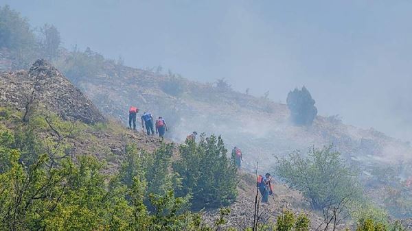 В Крыму тушат лесной пожар на площади 15 га